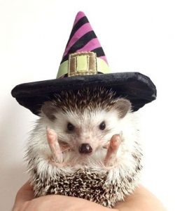 618553edd9a8d46dff42675e3f445e97